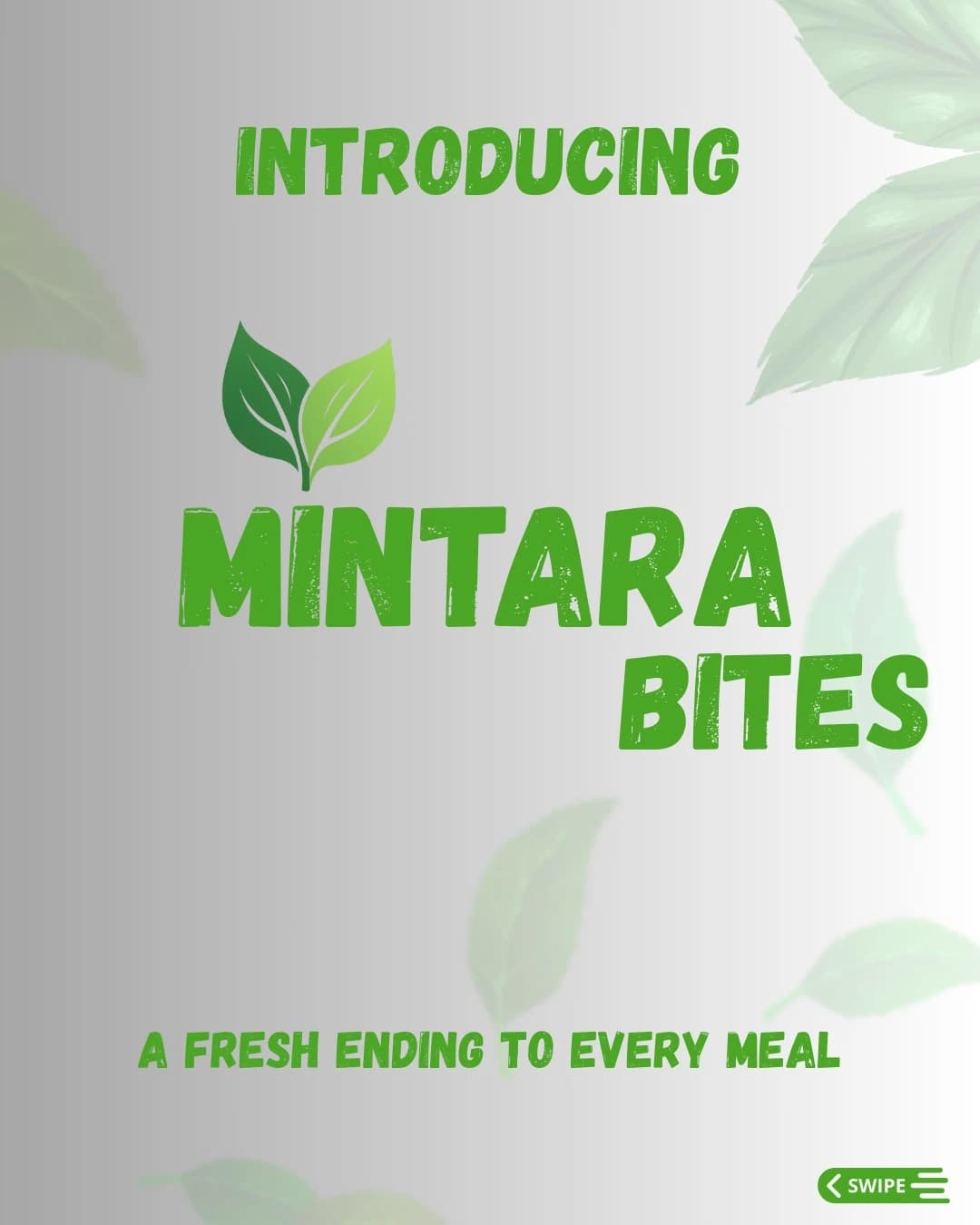 Buy Paan Mukhwas Online in Surat: What to Look For Before Ordering - Mukhwas Guide