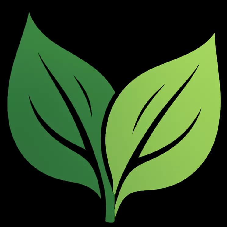 Buy Test Product 2 RS in Surat - Mintara Bites